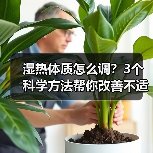 湿热体质怎么调？3个科学方法帮你改善不适（图1）