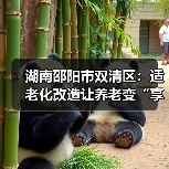 湖南邵阳市双清区:适老化改造让养老变“享老”(图4) 湖南邵阳市双清区:适老化改造让养老变“享老”(图4)