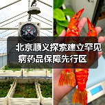 北京顺义探索建立罕见病药品保障先行区(图3) 北京顺义探索建立罕见病药品保障先行区(图3)