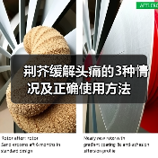 荆芥缓解头痛的3种情况及正确使用方法(图1) 荆芥缓解头痛的3种情况及正确使用方法(图1)