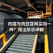肉蔻与肉豆蔻其实同一种？用法禁忌详解（图2）