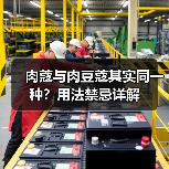 肉蔻与肉豆蔻其实同一种？用法禁忌详解（图4）