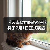 《云南省中医药条例》将于7月1日正式实施(图2) 《云南省中医药条例》将于7月1日正式实施(图2)