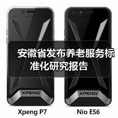 安徽省发布养老服务标准化研究报告（图4）
