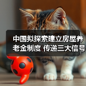 中国拟探索建立房屋养老金制度 传递三大信号(图3) 中国拟探索建立房屋养老金制度 传递三大信号(图3)