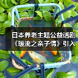 日本养老主题公益话剧《暖流之亲子情》引入中国在京成功公演(图4) 日本养老主题公益话剧《暖流之亲子情》引入中国在京成功公演(图4)