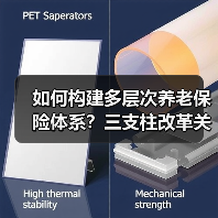 如何构建多层次养老保险体系?三支柱改革关键在哪?(图3) 如何构建多层次养老保险体系?三支柱改革关键在哪?(图3)