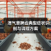 湿气重脾虚典型症状识别与调理方案（图4）