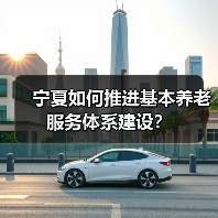 宁夏如何推进基本养老服务体系建设?(图1) 宁夏如何推进基本养老服务体系建设?(图1)
