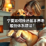 宁夏如何推进基本养老服务体系建设?(图2) 宁夏如何推进基本养老服务体系建设?(图2)