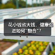 花小钱省大钱,健康促进如何 花小钱省大钱,健康促进如何