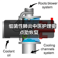 细菌性肺炎中医护理要点助恢复（图2）