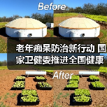 老年痴呆防治新行动 国家卫健委推进全国健康老龄化策略(图1) 老年痴呆防治新行动 国家卫健委推进全国健康老龄化策略(图1)