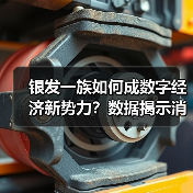 银发一族如何成数字经济新势力？数据揭示消费变革（图2）