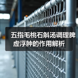 五指毛桃石斛汤调理脾虚浮肿的作用解析（图1）