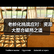 老龄化挑战应对：资源大整合破局之道（图3）