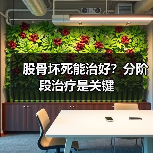 股骨坏死能治好？分阶段治疗是关键（图4）