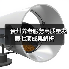 贵州养老服务高质量发展七项成果解析（图1）