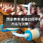 国家养老清单如何平衡兜底与创新？（图4）