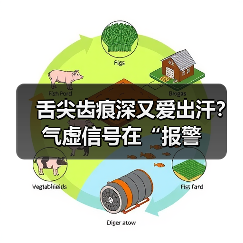舌尖齿痕深又爱出汗?气虚信号在“报警(图3) 舌尖齿痕深又爱出汗?气虚信号在“报警(图3)