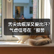 舌尖齿痕深又爱出汗?气虚信号在“报警(图4) 舌尖齿痕深又爱出汗?气虚信号在“报警(图4)