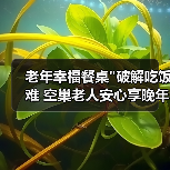 老年幸福餐桌 老年幸福餐桌