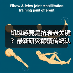 饥饿感竟是抗衰老关键？最新研究颠覆传统认知（图1）