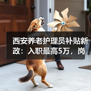 西安养老护理员补贴新政：入职最高5万，岗位月领300元（图4）