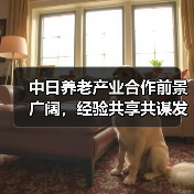 中日养老产业合作前景广阔，经验共享共谋发展（图2）
