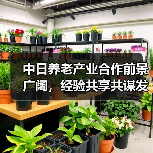 中日养老产业合作前景广阔，经验共享共谋发展（图1）