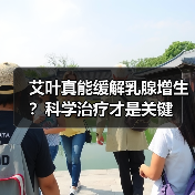 艾叶真能缓解乳腺增生？科学治疗才是关键（图2）