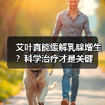 艾叶真能缓解乳腺增生？科学治疗才是关键（图3）