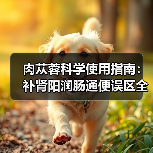 肉苁蓉科学使用指南：补肾阳润肠通便误区全解析（图4）