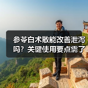 参苓白术散能改善泄泻吗?关键使用要点需了解(图4) 参苓白术散能改善泄泻吗?关键使用要点需了解(图4)