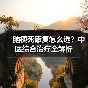 脑梗死康复怎么选?中医综合治疗全解析(图2) 脑梗死康复怎么选?中医综合治疗全解析(图2)