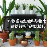 19岁喝老红糖科学指南:益处解析与避坑技巧(图4) 19岁喝老红糖科学指南:益处解析与避坑技巧(图4)