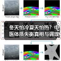 冬天怕冷夏天怕热?中医体质失衡真相与调理全解析(图4) 冬天怕冷夏天怕热?中医体质失衡真相与调理全解析(图4)