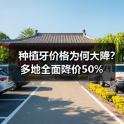 种植牙价格为何大降?多地全面降价50%(图4) 种植牙价格为何大降?多地全面降价50%(图4)