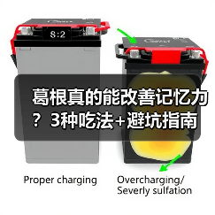 葛根真的能改善记忆力？3种吃法+避坑指南（图1）