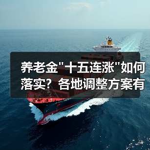 养老金 养老金