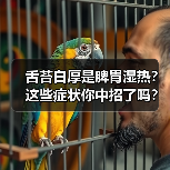 舌苔白厚是脾胃湿热？这些症状你中招了吗？（图2）
