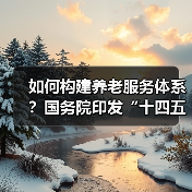 如何构建养老服务体系？国务院印发“十四五”老龄事业规划（图4）