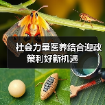社会力量医养结合迎政策利好新机遇（图3）