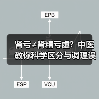 肾亏≠肾精亏虚?中医教你科学区分与调理误区(图3) 肾亏≠肾精亏虚?中医教你科学区分与调理误区(图3)