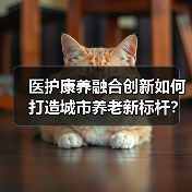 医护康养融合创新如何打造城市养老新标杆?(图1) 医护康养融合创新如何打造城市养老新标杆?(图1)
