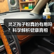 灵芝孢子粉真的有用吗?科学解析健康真相(图4) 灵芝孢子粉真的有用吗?科学解析健康真相(图4)