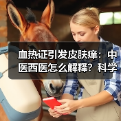 血热证引发皮肤痒:中医西医怎么解释?科学应对方法来了!(图4) 血热证引发皮肤痒:中医西医怎么解释?科学应对方法来了!(图4)