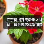 广东将提升高龄老人补贴，智慧养老体系加快构建（图2）