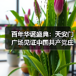 百年华诞盛典：天安门广场见证中国共产党庄严承诺（图1）