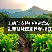 工信部支持电信运营商进军智慧居家养老 提升服务新方向(图2) 工信部支持电信运营商进军智慧居家养老 提升服务新方向(图2)